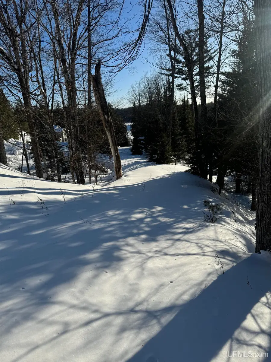 TBD Peterson, Iron Mountain, MI 49801 - #2