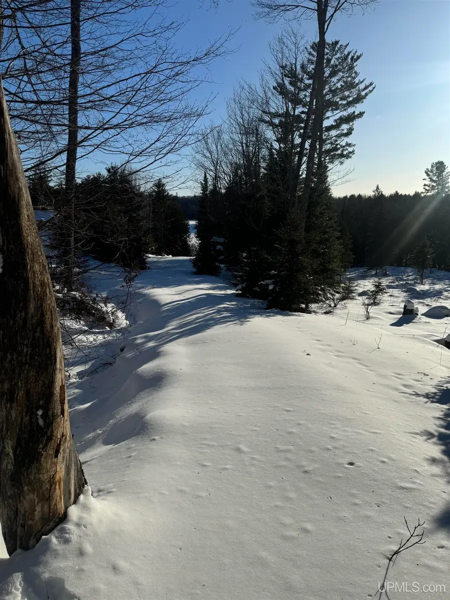 TBD Peterson, Iron Mountain, MI 49801 - #3