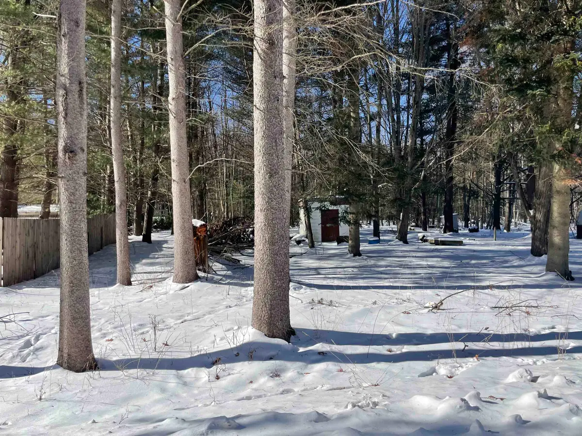 tbd Holmes, Lincoln, MI 48633 - Image #1