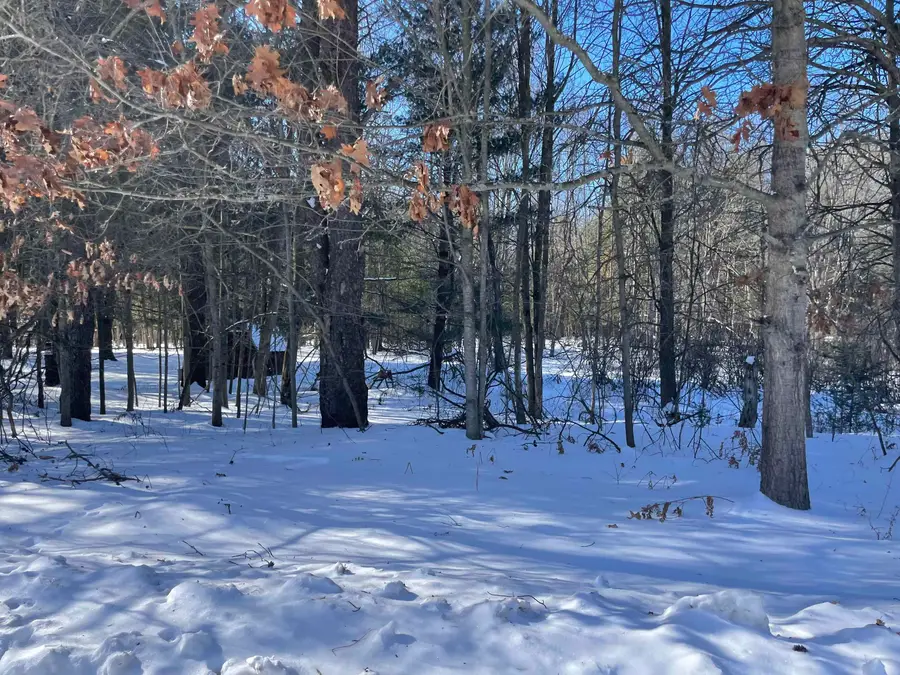 Tbd 34 Holmes, Lincoln, MI 48633 - #2