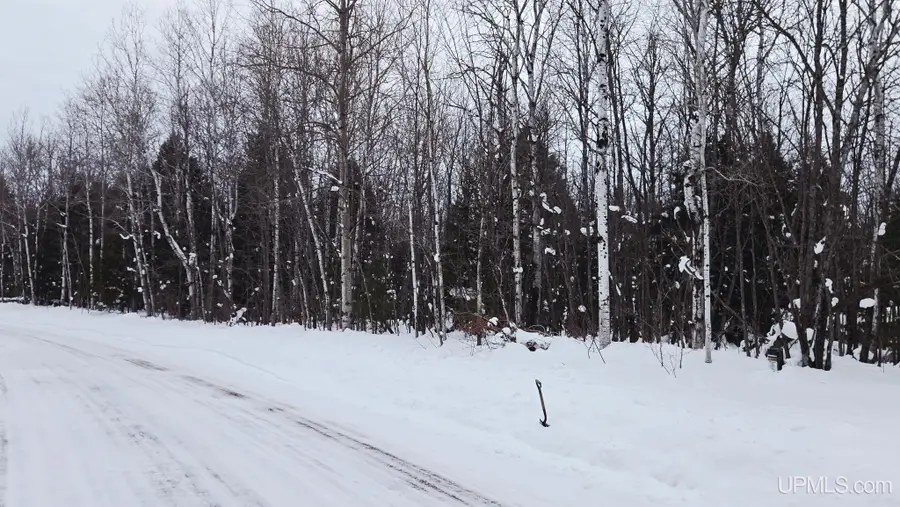 TBD Michigan, White Pine, MI 49971 - #2