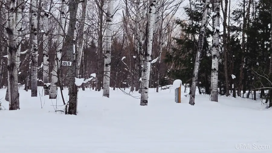 TBD Michigan, White Pine, MI 49971 - #3
