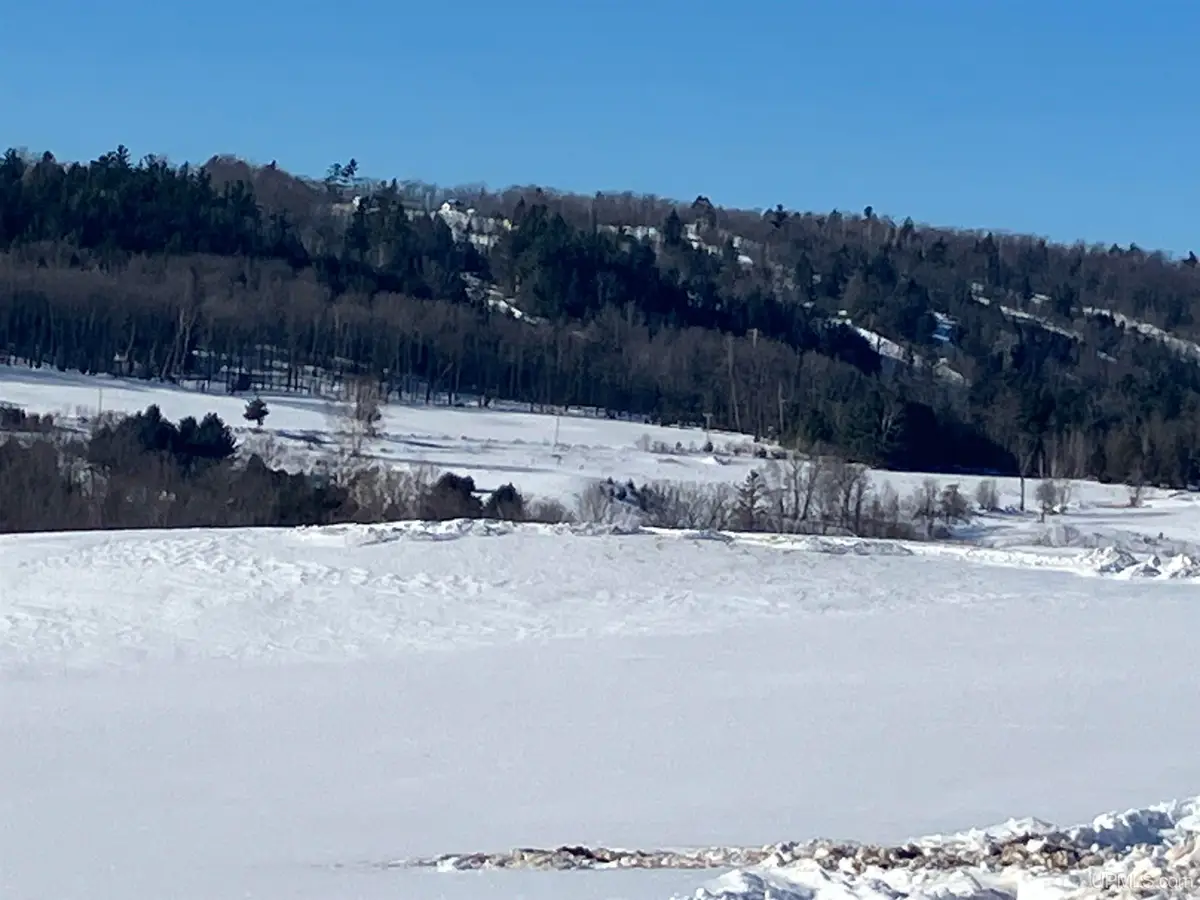 TBD Pine Creek, Vulcan, MI 49892 - #1