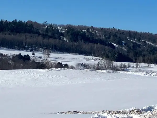 TBD Pine Creek, Vulcan, MI 49892