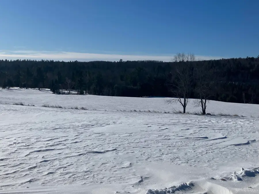 TBD Pine Creek, Vulcan, MI 49892 - #3