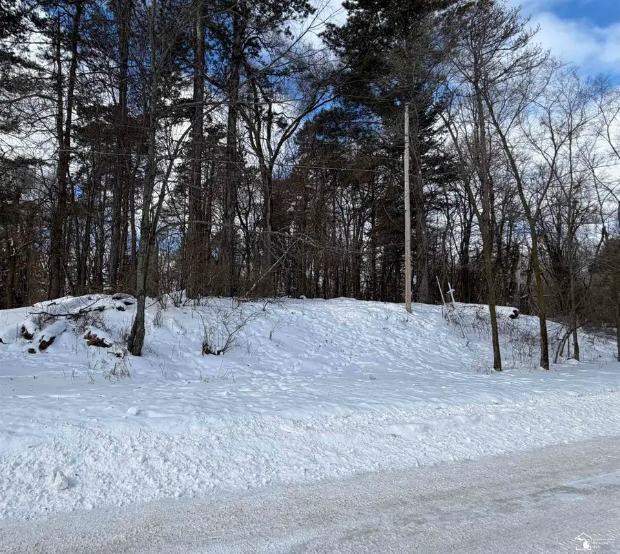 11800 Galway, Jerome, MI 49249 - #3