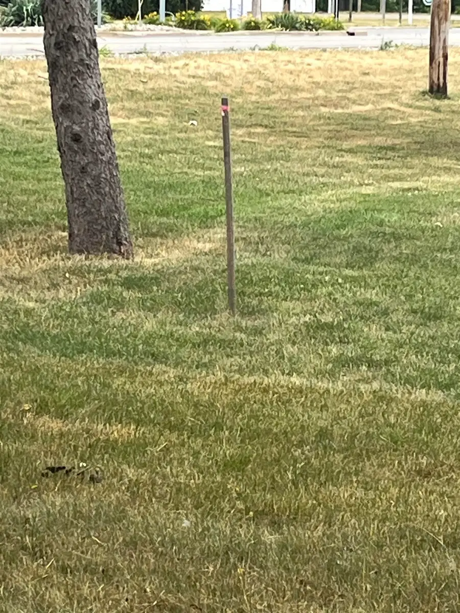 VL Maple, Saint Charles, MI 48655 - #2