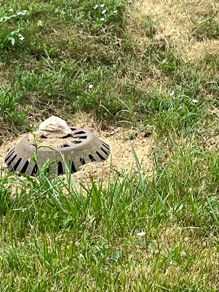 VL Maple, Saint Charles, MI 48655 - #3