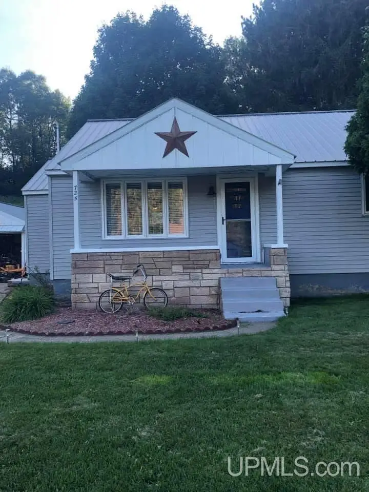 725 W Ice Lake, Iron River, MI 49935 - #2
