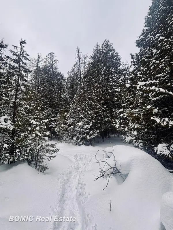 20130 E N Caribou Lake, DeTour Village, MI 49725