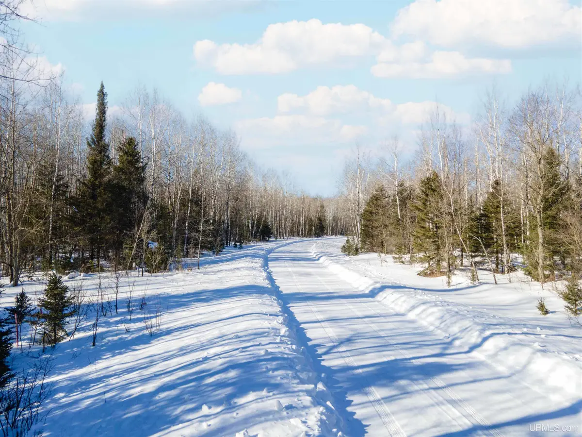 Lot 30 River Country, Iron River, MI 49935 - #1