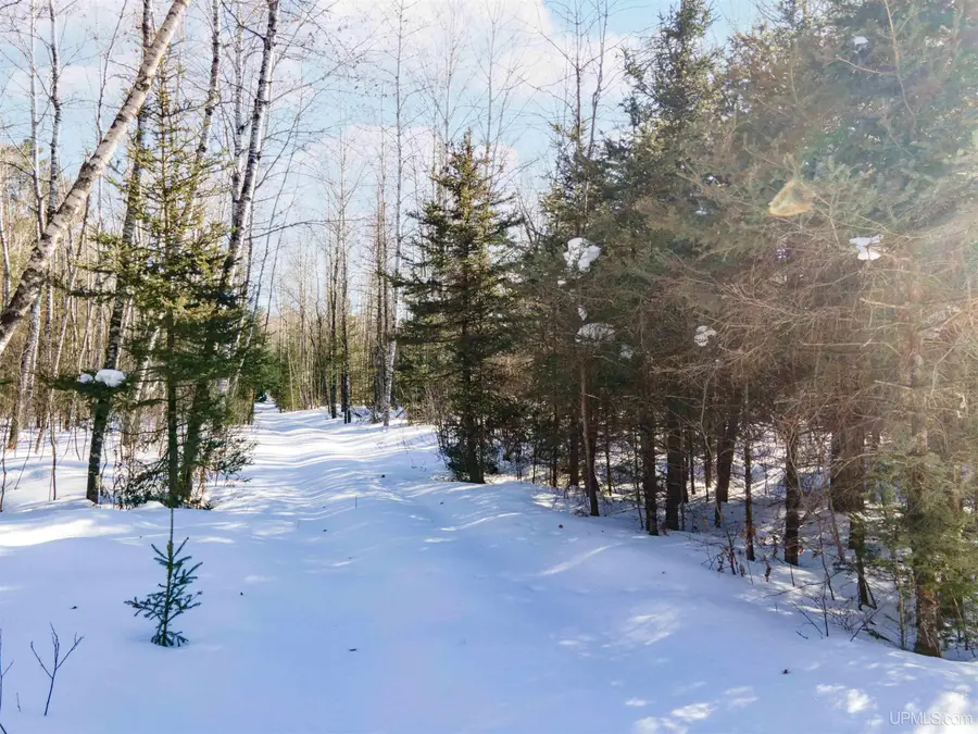 Lot 30 River Country, Iron River, MI 49935 - #2