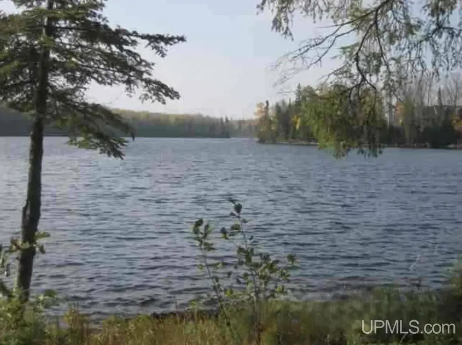Lot 7 Fence Lake, Michigamme, MI 49861 - #2