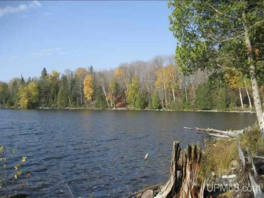 Lot 7 Fence Lake, Michigamme, MI 49861 - #3