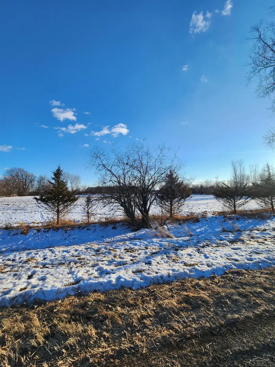 17385 Mckay, Saint Charles, MI 48655 - #2