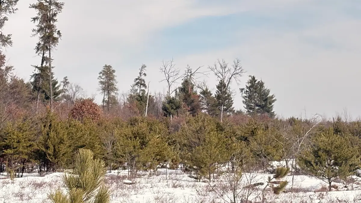 15 Acres N Nhn Haskell Lk, Harrison, MI 48625 - #1