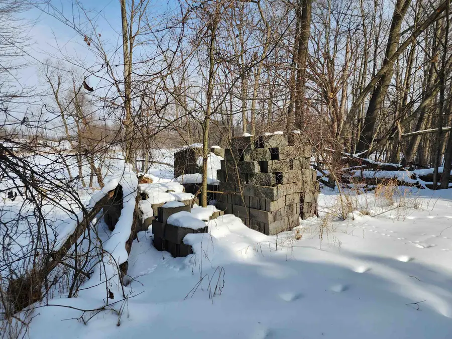 33 Acres S Peoples, Fenwick, MI 48834 - #3