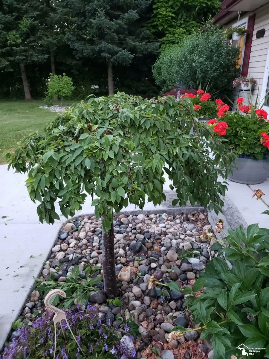 33790 Steadman, New Boston, MI 48164 - #2