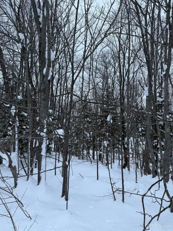 TBD 3-10 Firesteel, Ontonagon, MI 49953