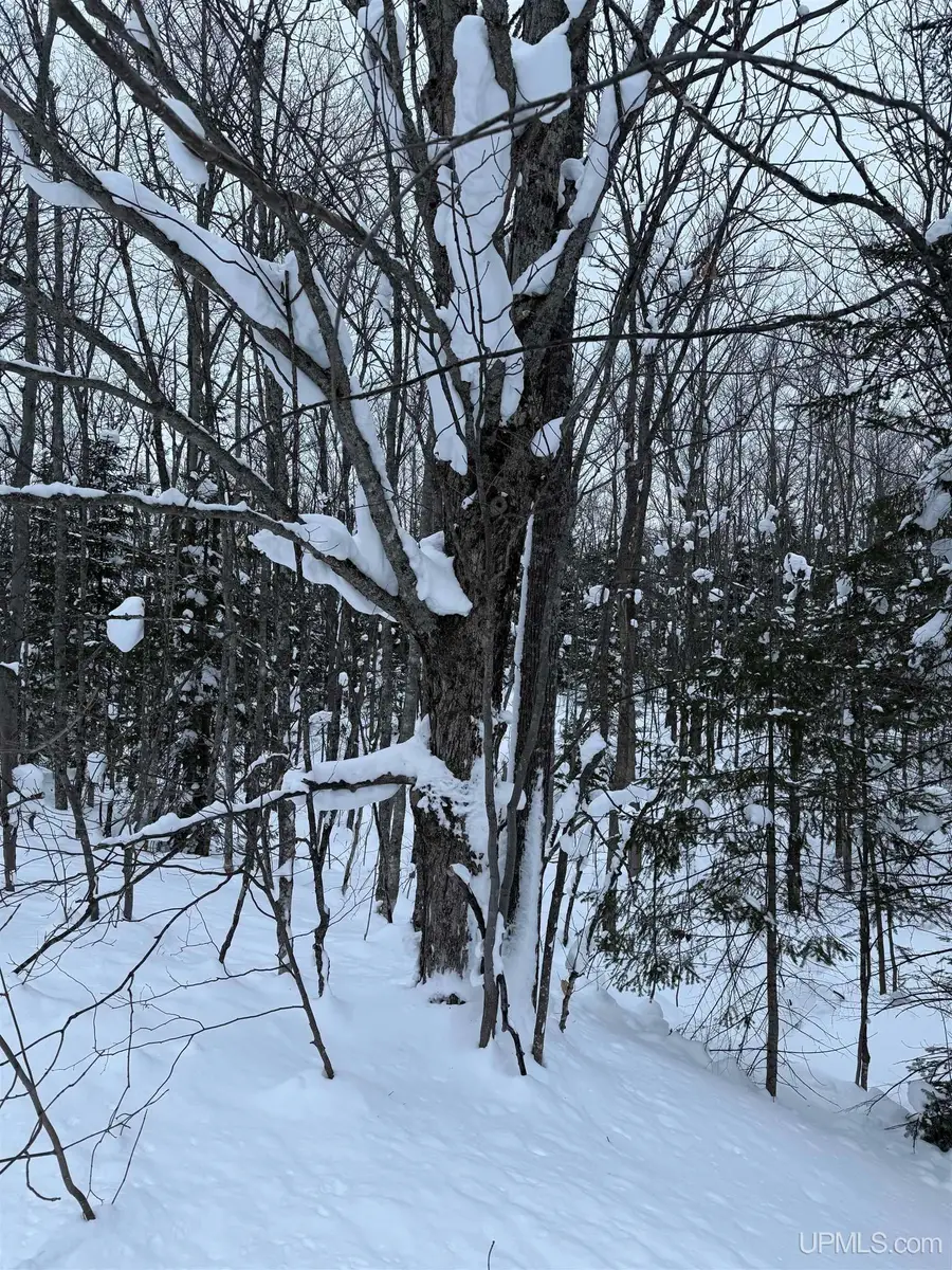 TBD 3-10 Firesteel, Ontonagon, MI 49953 - #2
