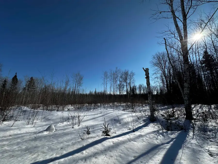 8333 Solberg Lake, Felch, MI 49831 - #2