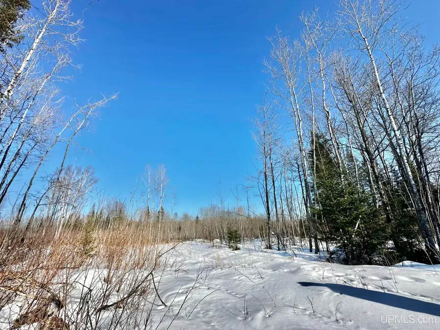 8333 Solberg Lake, Felch, MI 49831 - #3