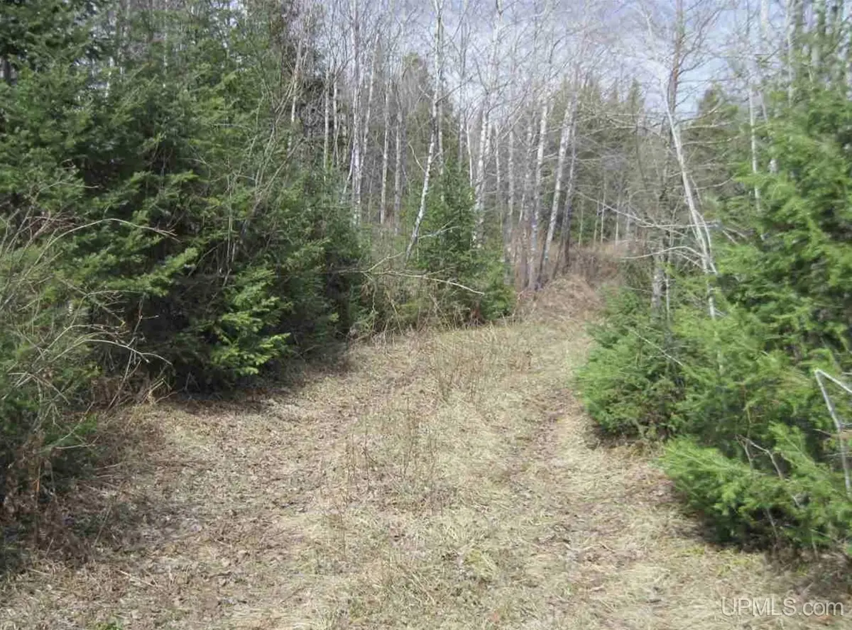 TBD N Swan, Amasa, MI 49903 - #1