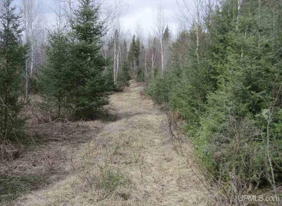 TBD N Swan, Amasa, MI 49903 - #2