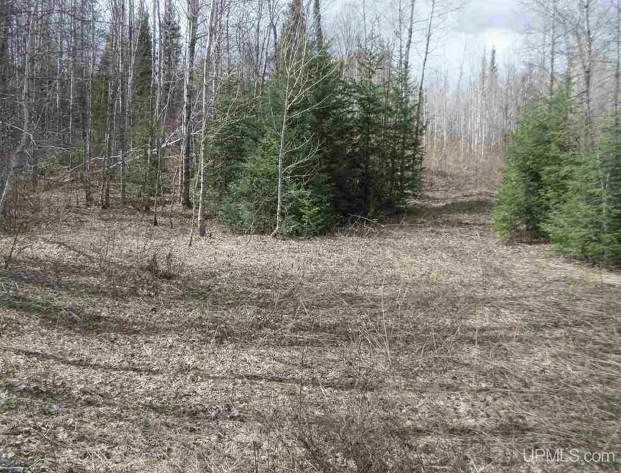 TBD N Swan, Amasa, MI 49903 - #3