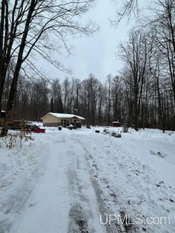 TBD County Line, Hardwood, MI 49807