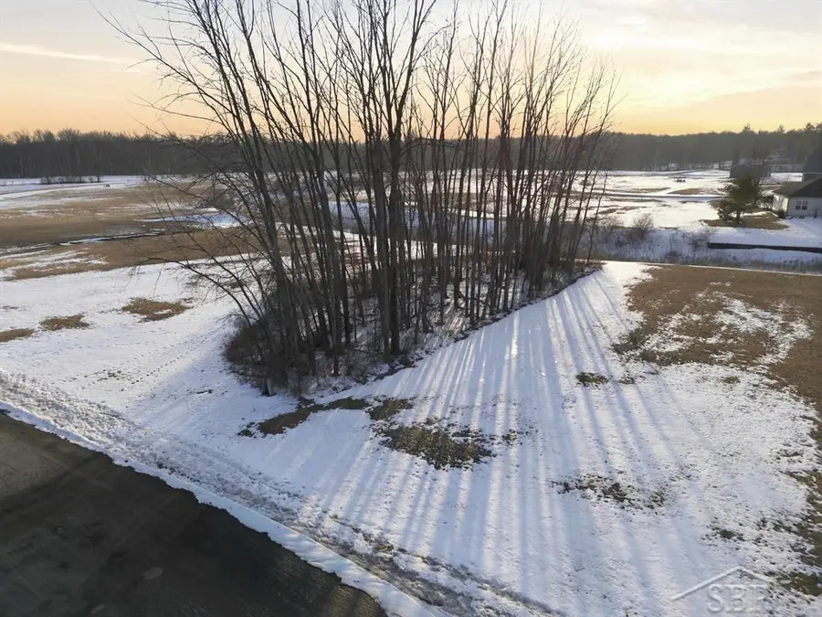 Lot 7 E Shoreline, Hope, MI 48628 - #3