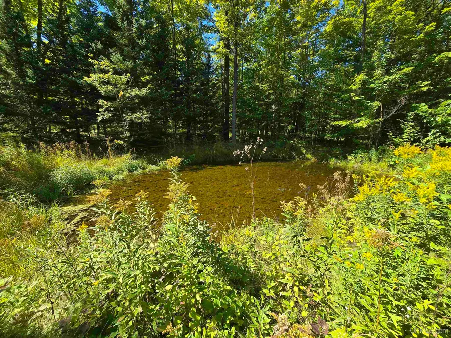 16454 Blue, Nisula, MI 49952 - #3