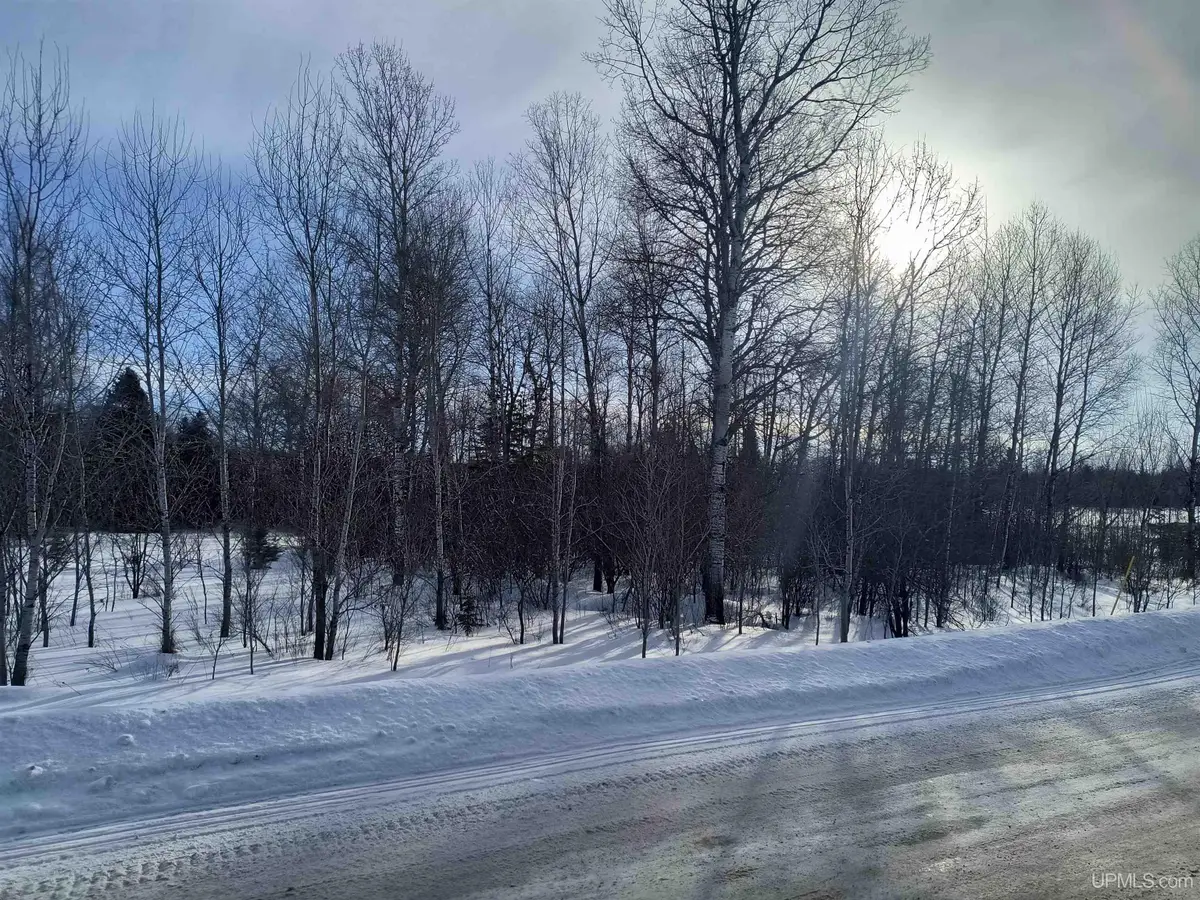 Off Bates Gaastra, Iron River, MI 49935 - #1