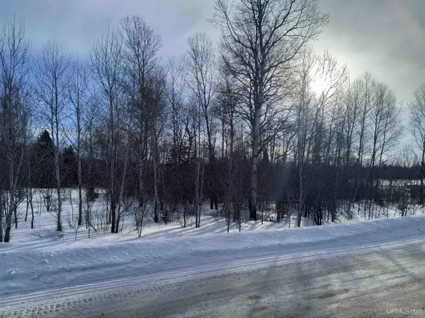 Off Bates Gaastra, Iron River, MI 49935