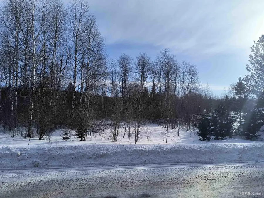 Off Bates Gaastra, Iron River, MI 49935 - #2