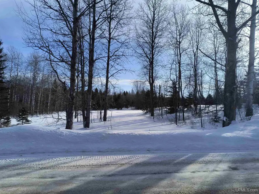 Off Bates Gaastra, Iron River, MI 49935 - #3