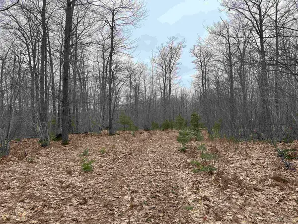 Near Krooks, Negaunee, MI 49866