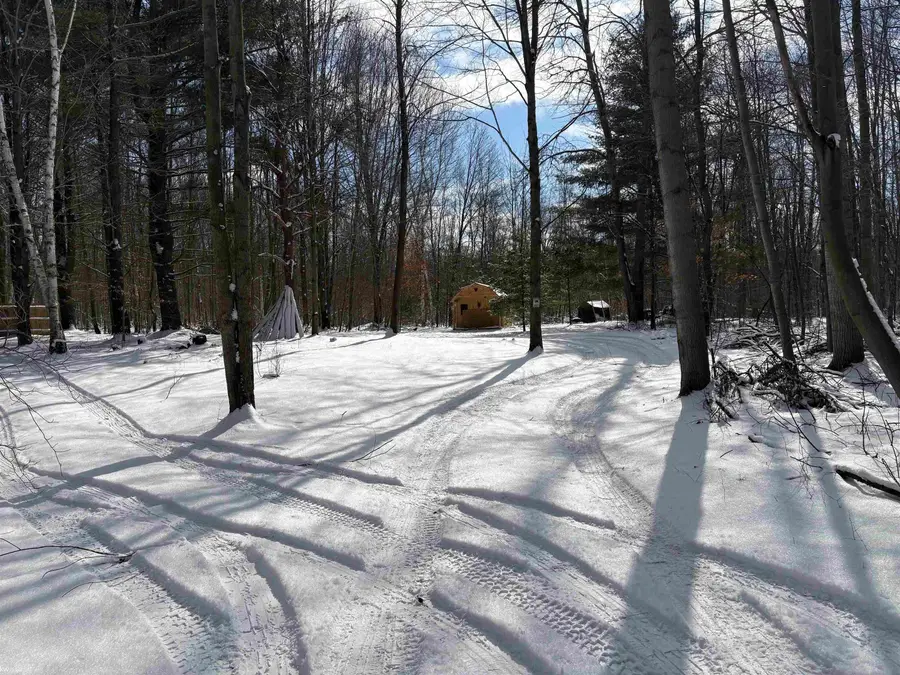 4123 Waterman, Vassar, MI 48768 - #3