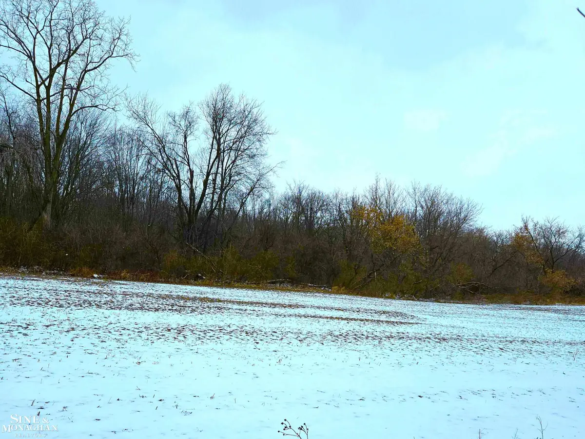 73763 Coon Creek, Armada, MI 48005 - #1