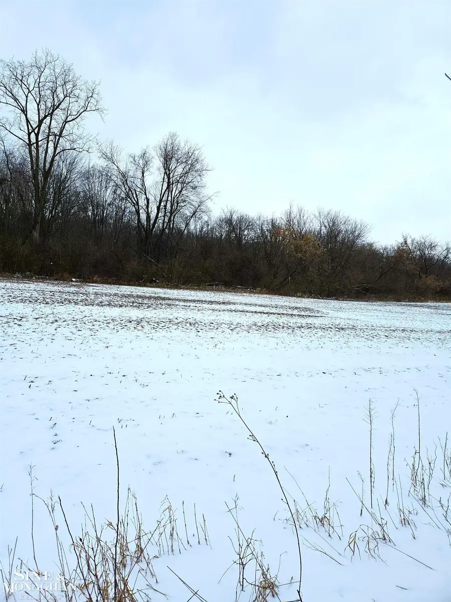 73763 Coon Creek, Armada, MI 48005 - #2