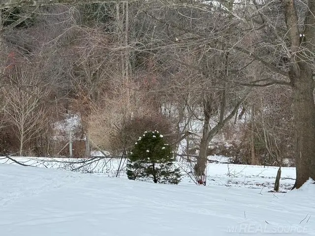 5750 Snay, Palms, MI 48465 - #2