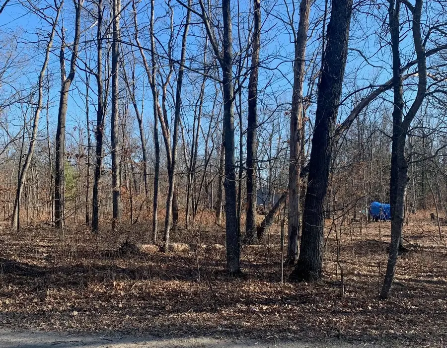 Lot 822 Sheffield, Roscommon, MI 48653 - #2
