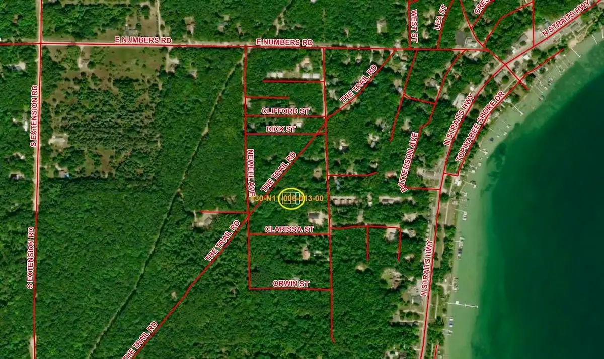 Vl Louella, Topinabee, MI 49791 - #1