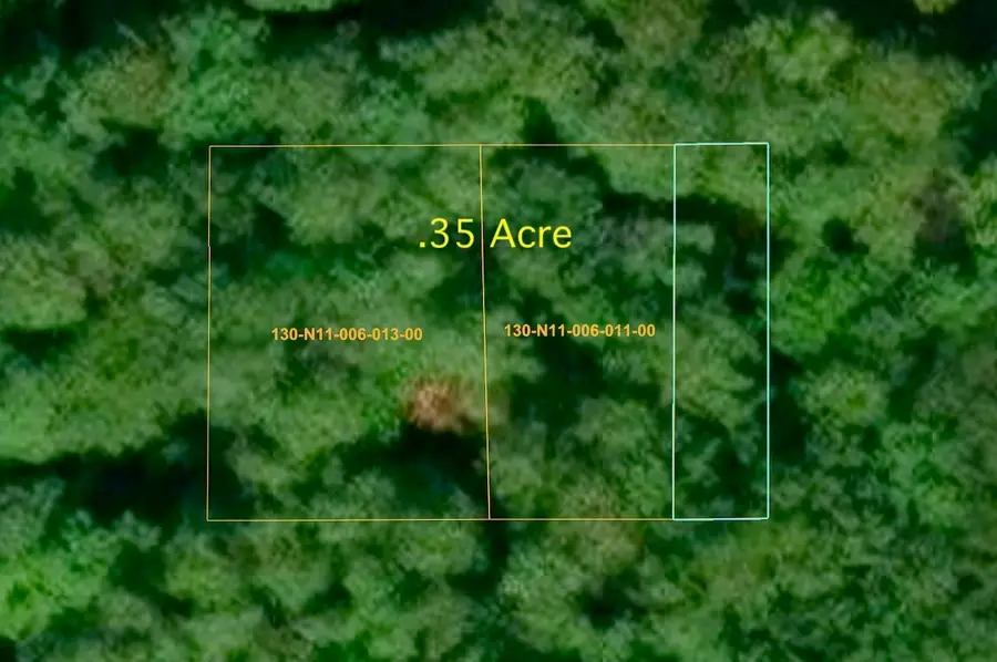 Vl Louella, Topinabee, MI 49791 - #3