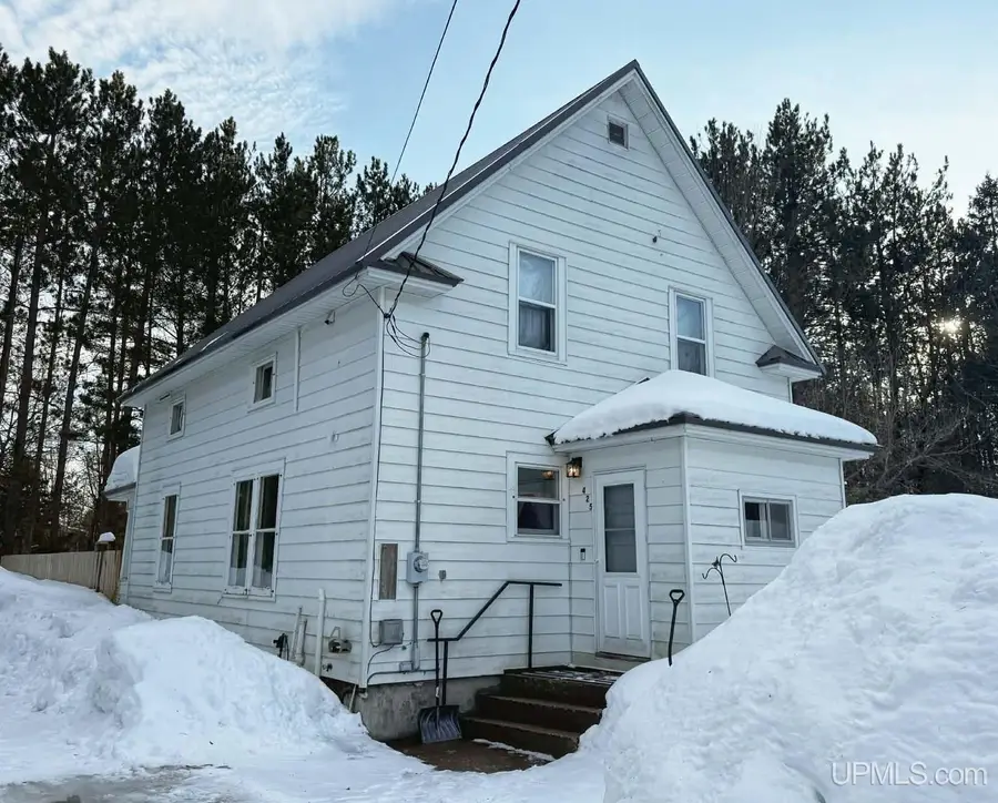 425 & 428 Railroad, Newberry, MI 49868 - #2