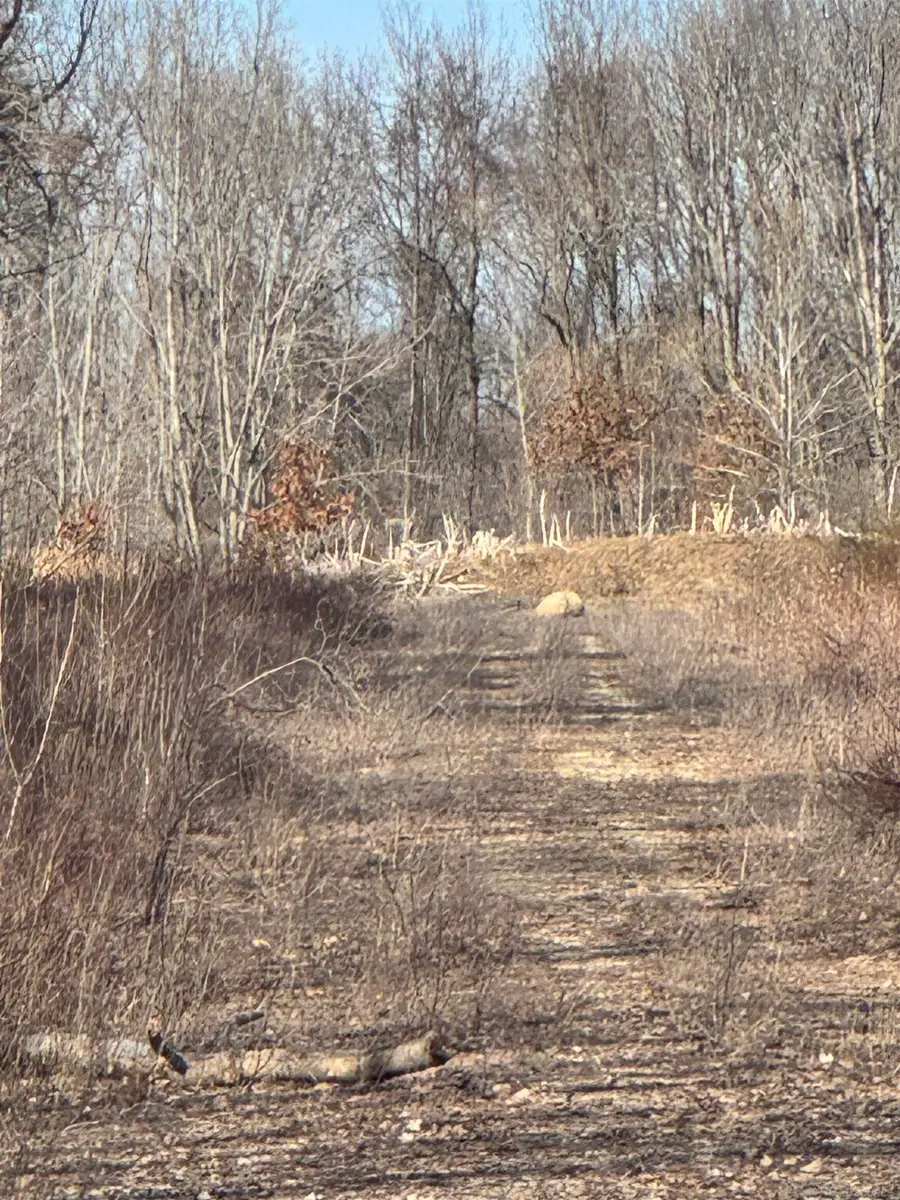 0 Moore, Allegan, MI 49010 - #2