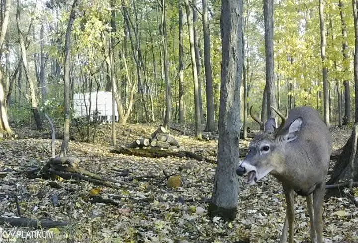 00 Fair Haven, Ira, MI 48023 - #2