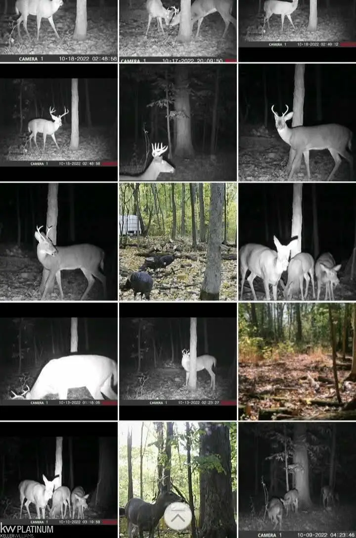 00 Fair Haven, Ira, MI 48023 - #3