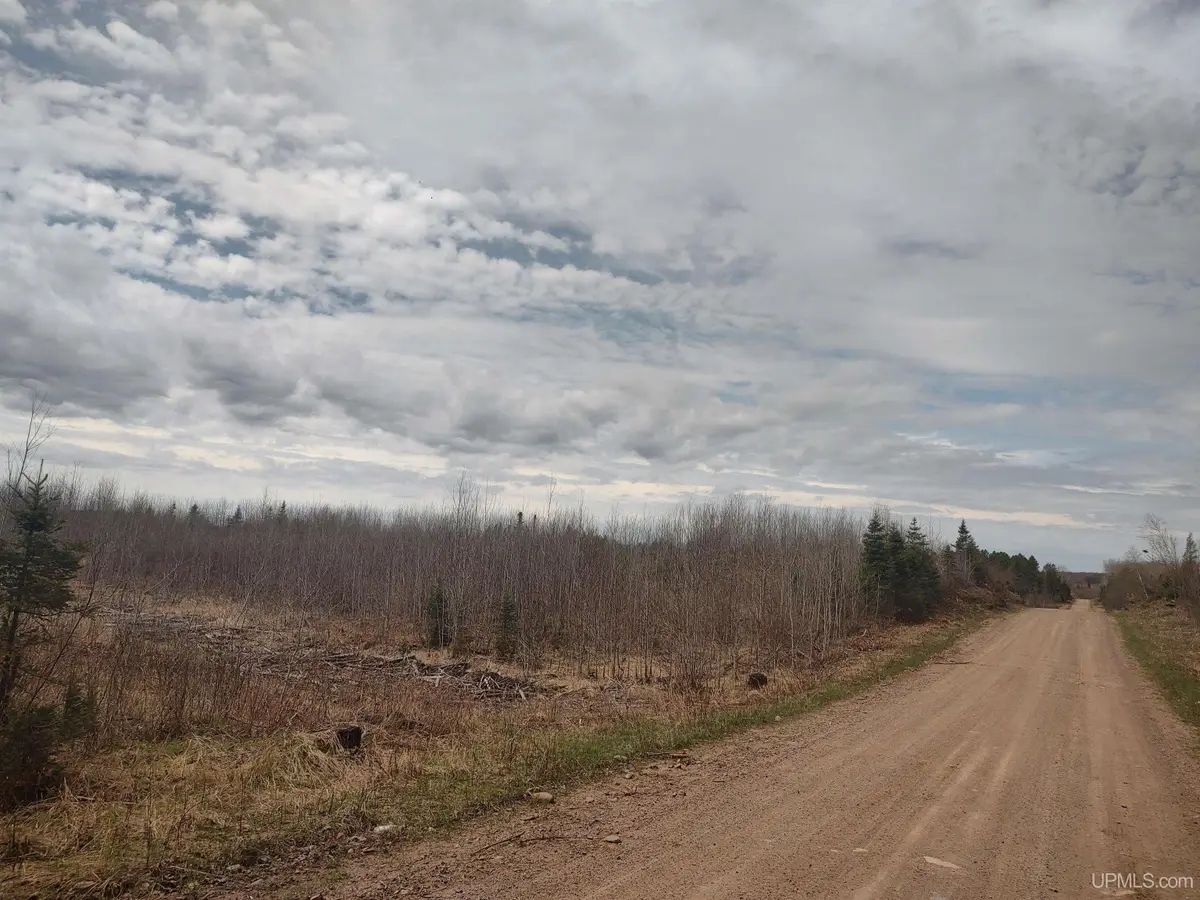 North 20 acres 18, Republic, MI 49879 - #1