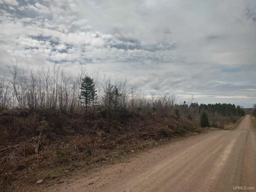 North 20 acres 18, Republic, MI 49879 - #2